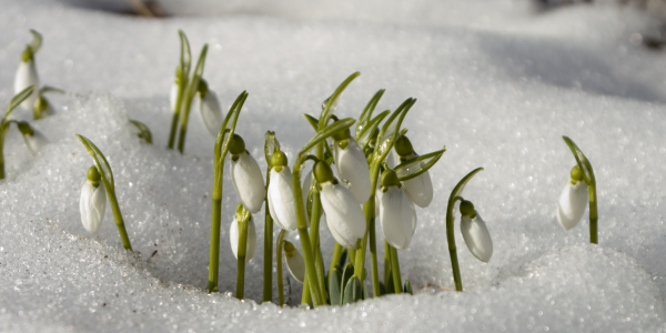 Newsletter Einstiegsbild