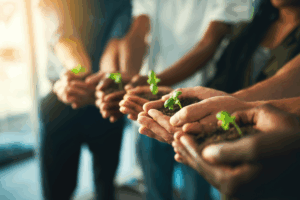 Junge Pflanzen liegen in mehreren Händen